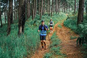 BIB: 
                            <button type="button" onclick="openModal(25664686)" class="btn btn-primary btn-sm float-right btn-popup" data-toggle="modal" data-target=".modal-high-quality">
                        <i class="fas fa-shopping-cart"></i> Add to Cart
                    </button>
                                            <button type="button" onclick="isThisMe(25664686, true)" class="btn btn-success btn-sm float-right btn-popup btn-isme hidden" data-toggle="tooltip" data-placement="bottom" title="นี่คือรูปของคุณใช่ไหม คลิกที่นี่เพื่อเอาเข้าอัลบั้ม">
                        <i class="fas fa-plus"></i> Add to album
                    </button>
                    <button type="button" onclick="isThisMe(25664686, false)" class="btn btn-warning btn-sm float-right btn-popup btn-isnotme hidden">
                        <i class="fas fa-ban"></i> Remove from album
                    </button>